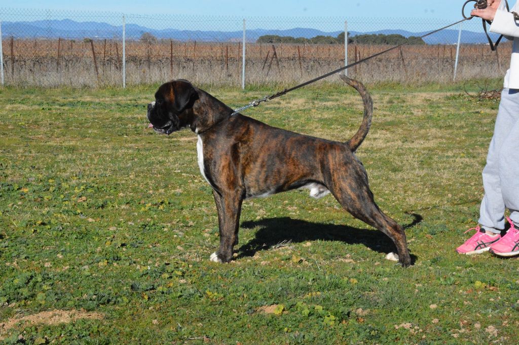 Leroy du royaume de sky